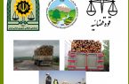مبادی ورودی و خروجی کلانشهر تبریز و کلیه شهرستان های آذربایجان شرقی به روی قاچاقچیان چوب بسته خواهد شد.