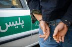 دستگیری اعضای باند سارقان در مراغه