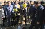 کاشت نهال در پارک عباس میرزا توسط ورزشکاران