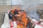امحاء پنج تن آلایش دامی غیر قابل مصرف در مراغه