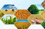 تولید ۲۰۰ هزار تن محصولات صنعتی و کشاورزی در منطقه آزاد ارس