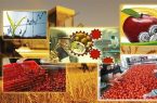فعالیت ۸۵۰ واحد تبدیلی و غذایی در آذربایجان شرقی