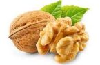 ۱۰ درصد گردوی کشور در آذربایجان شرقی تولید شد