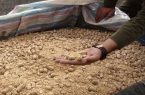 کشف ۵ تن مکمل غذایی دام و طيور قاچاق در مراغه