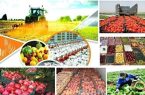 افزایش ۳۳ درصدی ارزش تولیدات کشاورزی آذربایجان شرقی