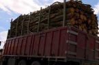 برخورد دادستانی مرکز آذربایجان شرقی با قاچاقچیان چوب