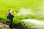 مصرف آفت‌کش در آذربایجان شرقی نصف میانگین جهانی