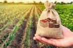اعطای وام اشتغال به روستاییان در آذربایجان شرقی