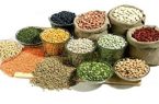 افزایش ۱۱۳ درصدی تولید حبوبات در آذربایجان شرقی